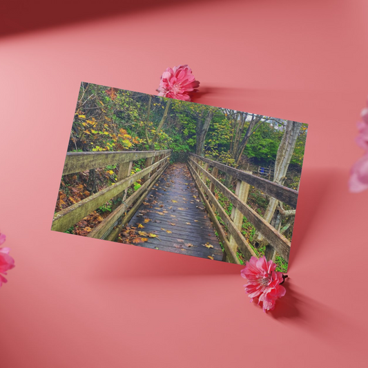 Wooden Bridge - Postcard