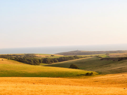 South Downs - Print