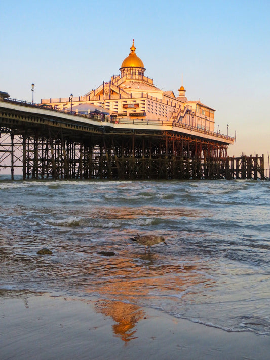 Eastbourne Pier Reflections - Print