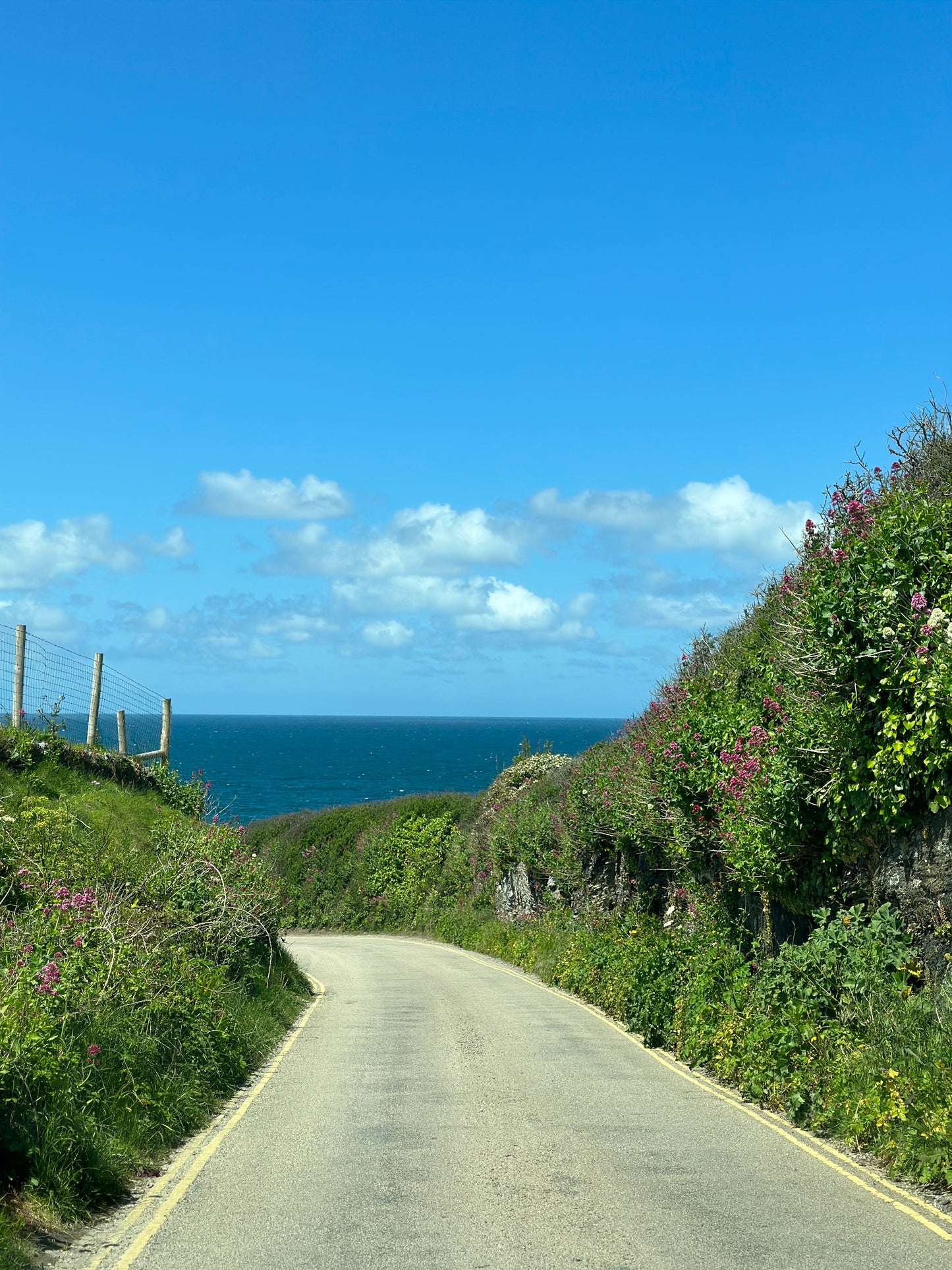 Road to the Sea - Print