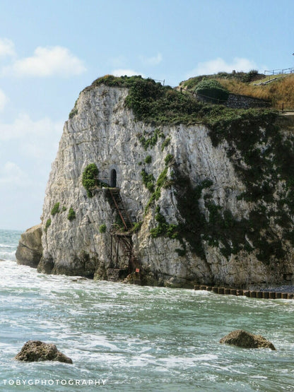 Freshwater Bay - Postcard