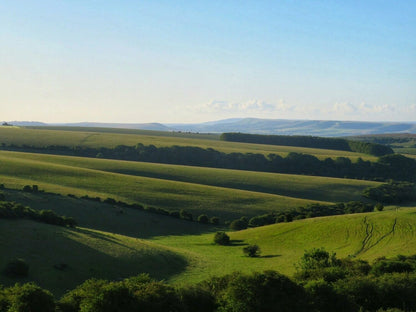 South Downs - Postcard