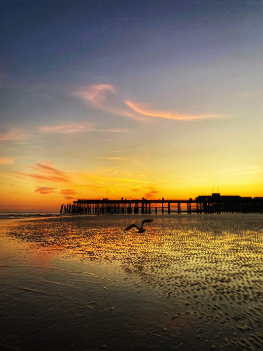 Hastings Pier Sunset - Print