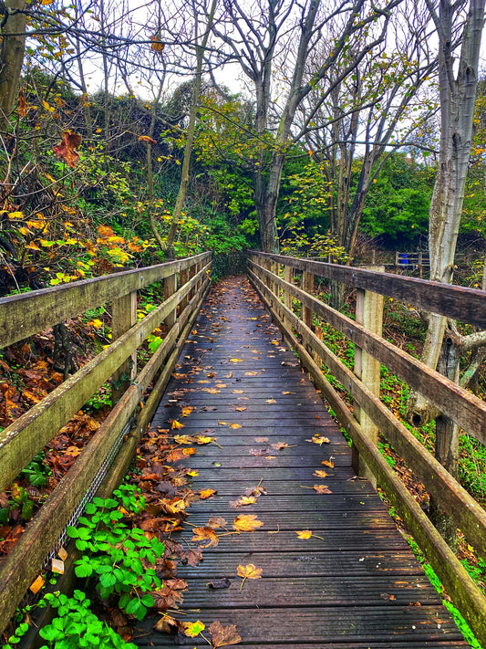 Wooden Bridge - Print